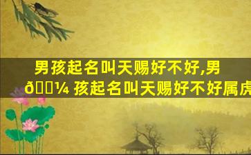 男孩起名叫天赐好不好,男 🐼 孩起名叫天赐好不好属虎